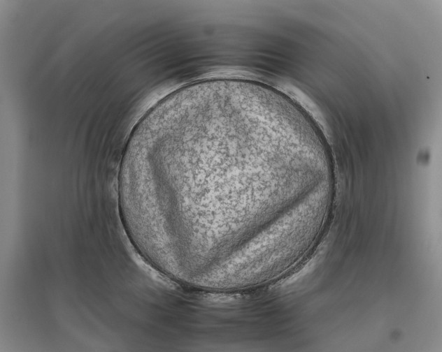 X0000096701049200802261600