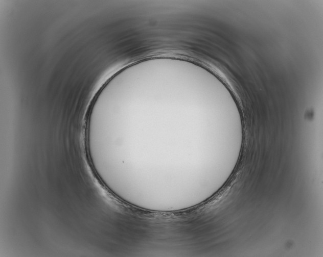 X0000096701050200802261600