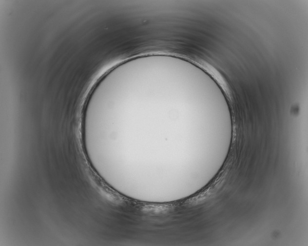 X0000096701051200802261600