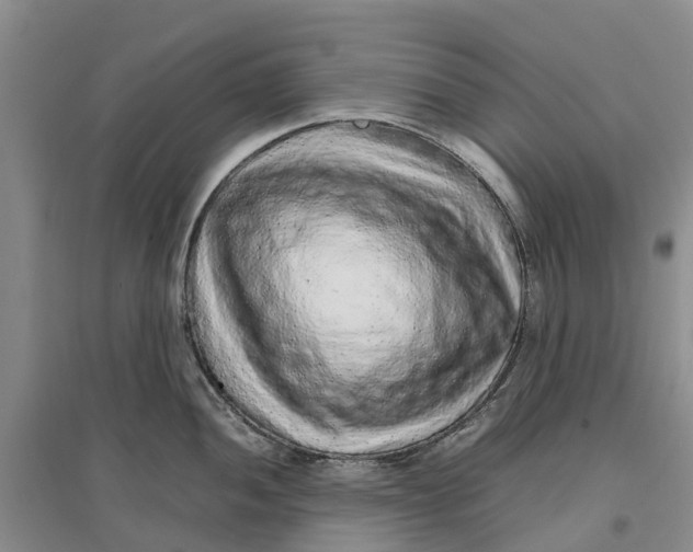 X0000096701052200802261600