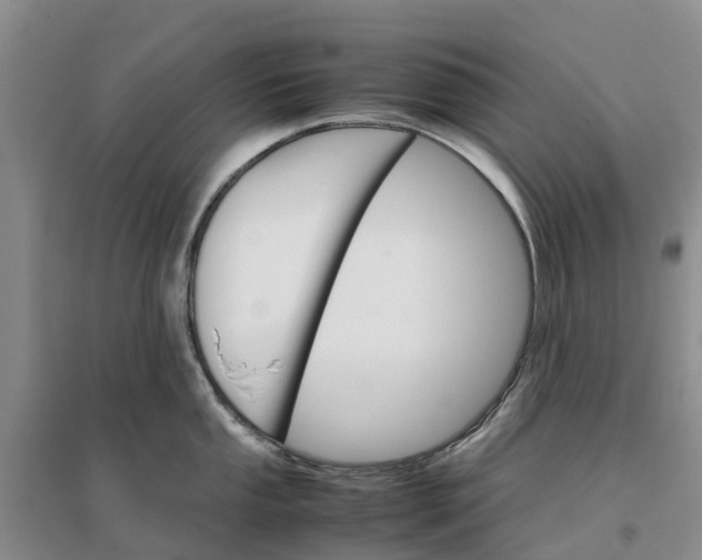 X0000096701053200802261600