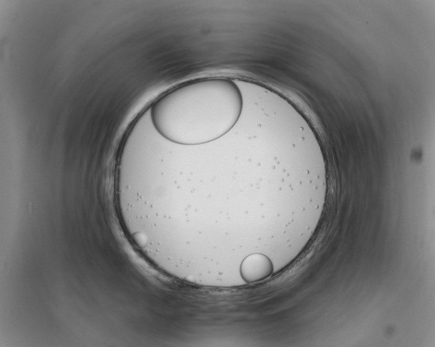 X0000096701054200802261600