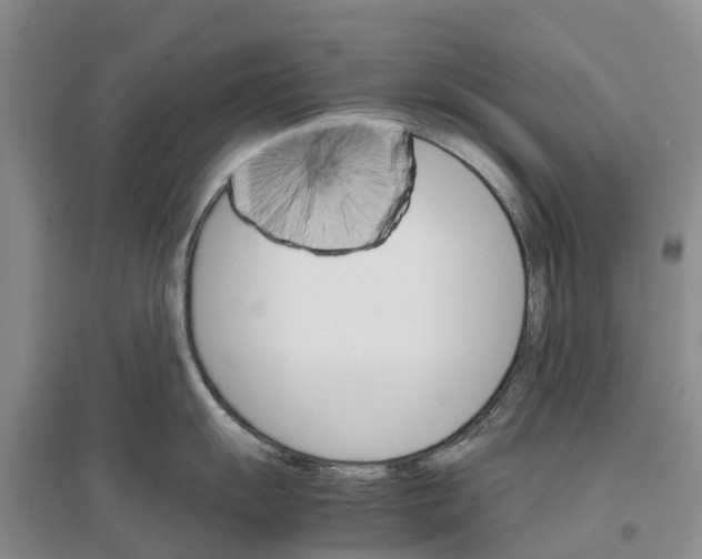 X0000096701055200802261600