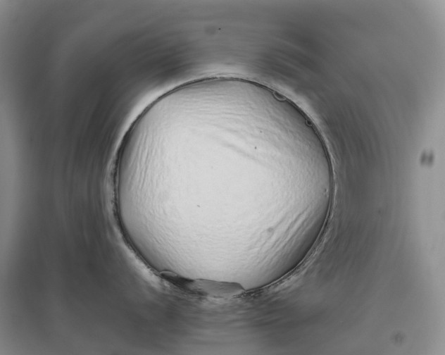 X0000096701056200802261600