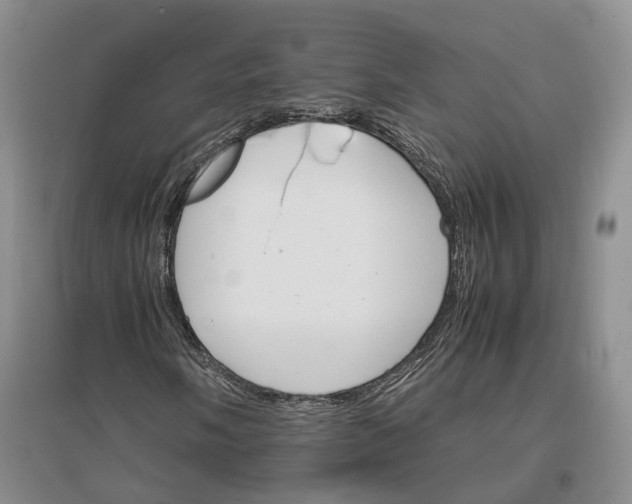 X0000096701058200802261600