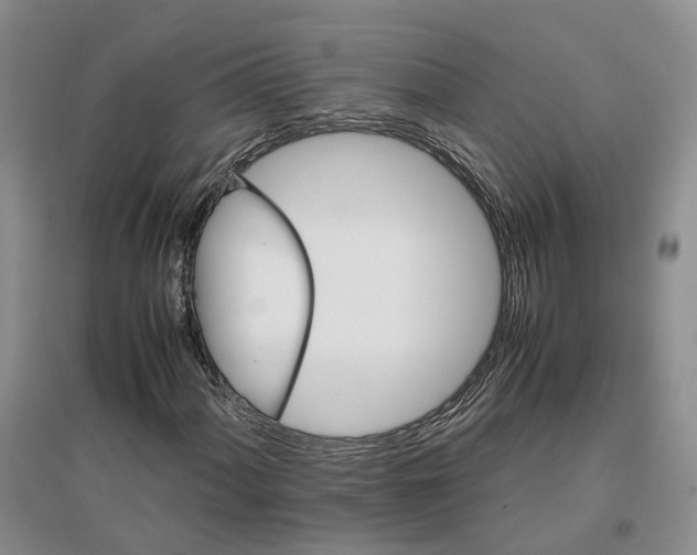 X0000096701060200802261559