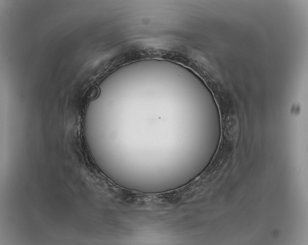 X0000096701061200802261559