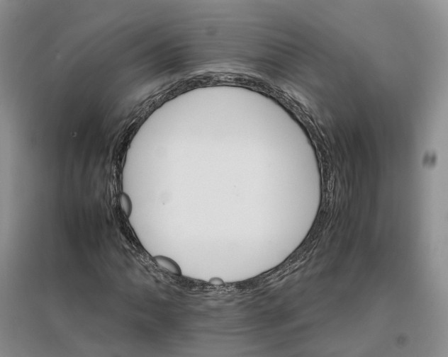 X0000096701062200802261559