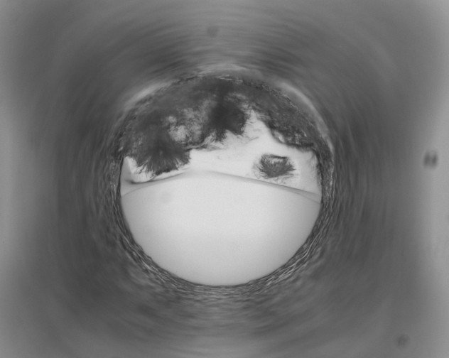 X0000096701063200802261559
