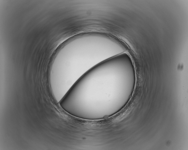 X0000096701065200802261559