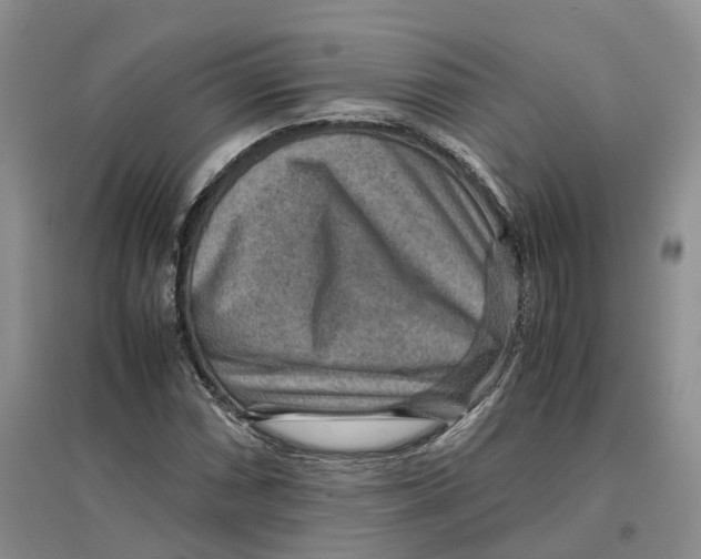 X0000096701066200802261559