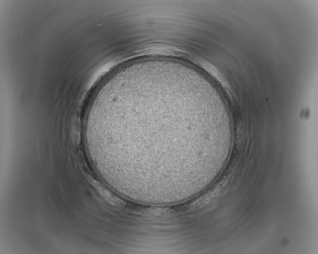 X0000096701067200802261559