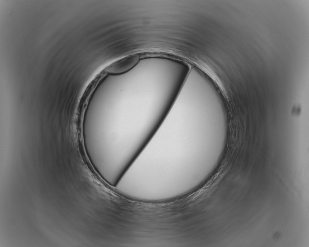 X0000096701068200802261559