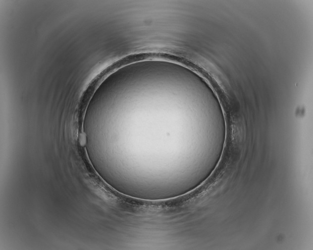 X0000096701069200802261559