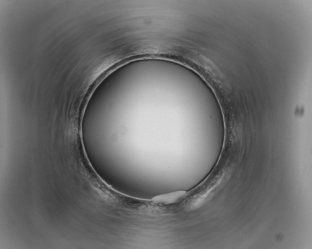 X0000096701073200802261559