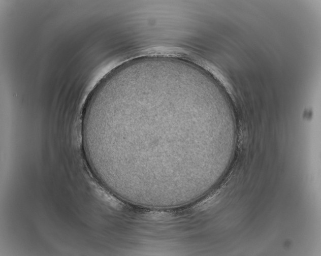 X0000096701075200802261559