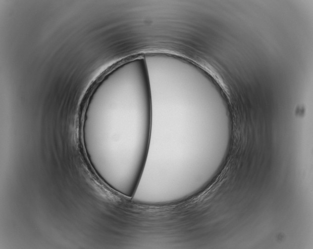 X0000096701076200802261559