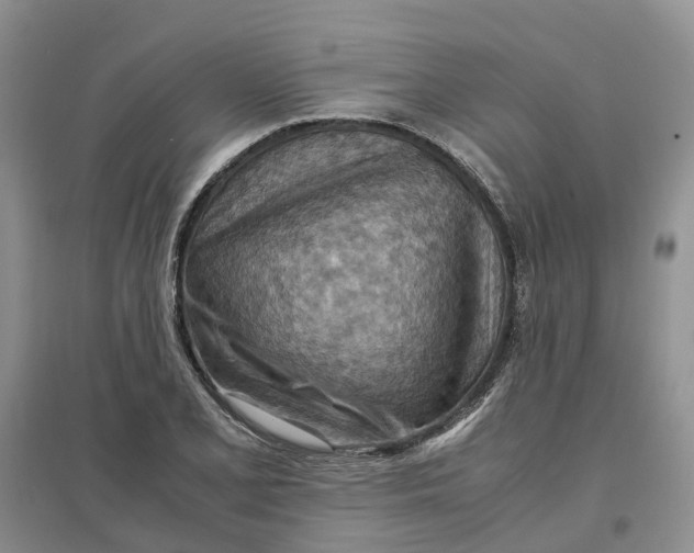 X0000096701077200802261559