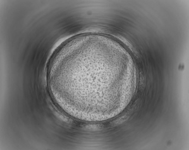X0000096701078200802261559