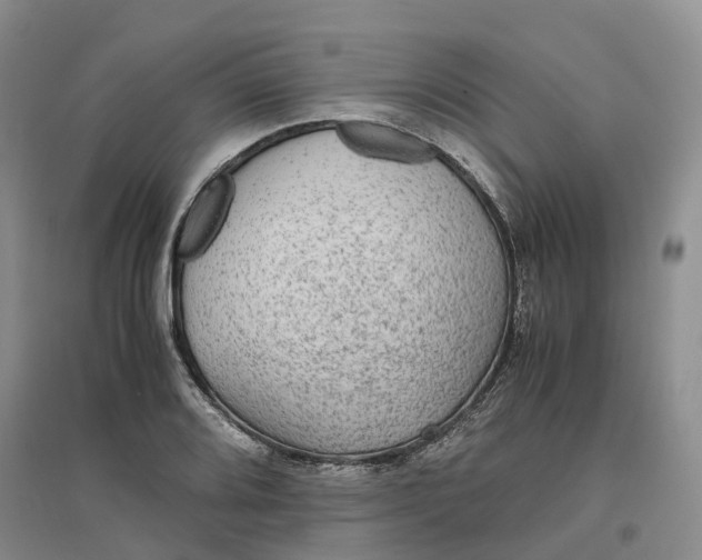 X0000096701080200802261559