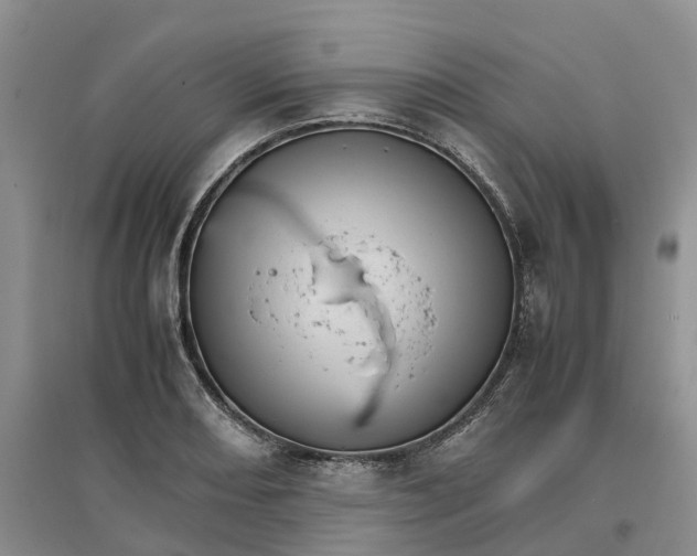 X0000096701082200802261559