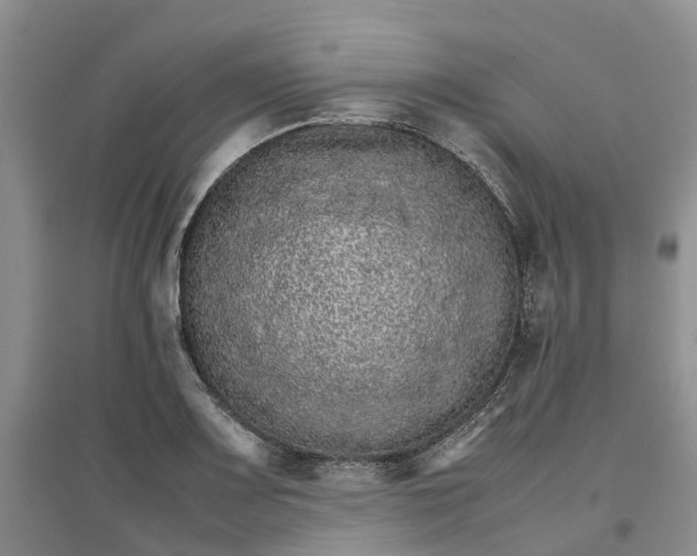 X0000096701083200802261559