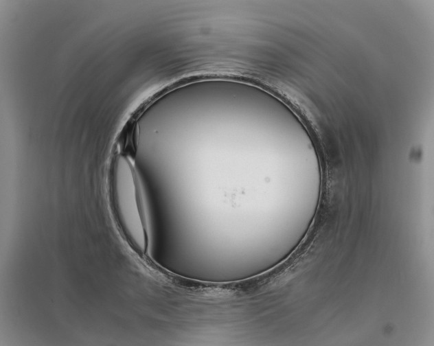 X0000096701085200802261559