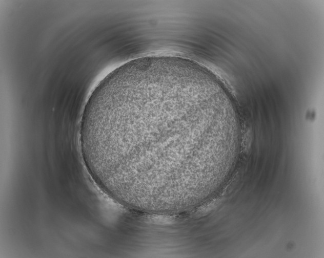 X0000096701086200802261559