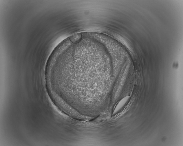 X0000096701087200802261559