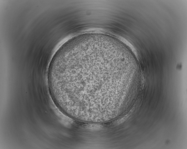 X0000096701090200802261559
