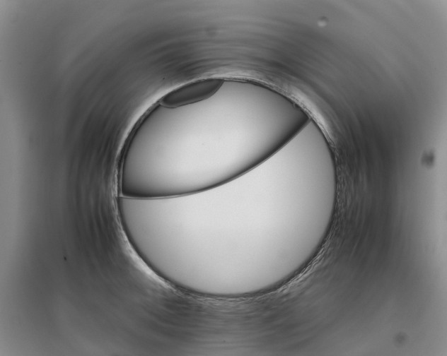 X0000096701092200802261559