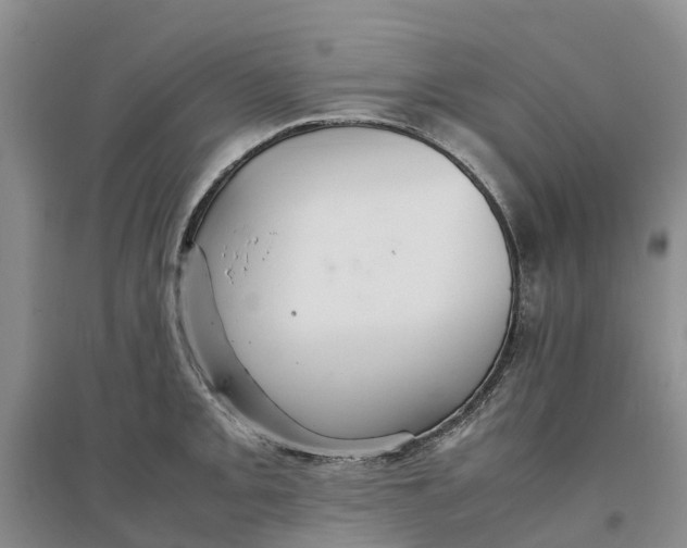 X0000096701093200802261559