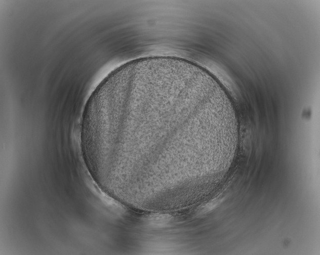 X0000096701094200802261559