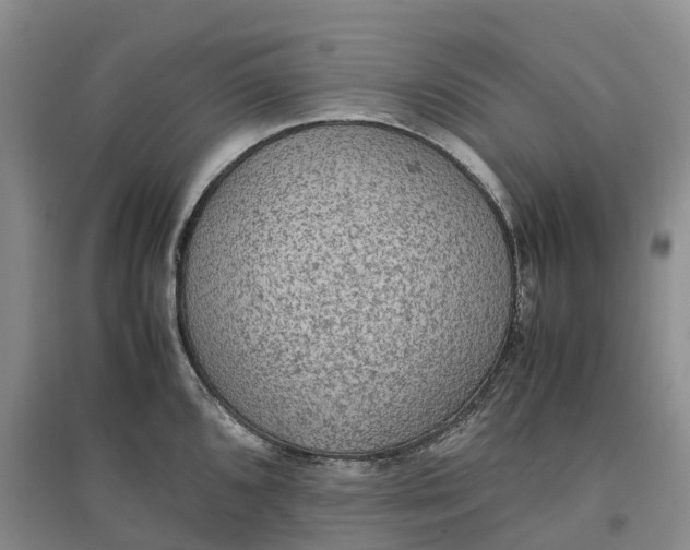 X0000096701096200802261559
