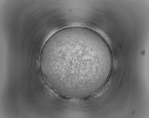 X0000096701097200802261559