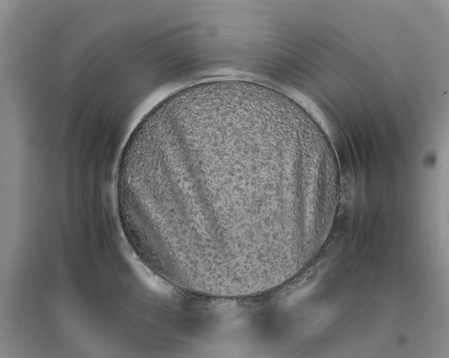 X0000096701098200802261559