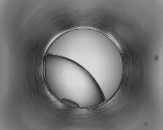 X0000096701100200802261559