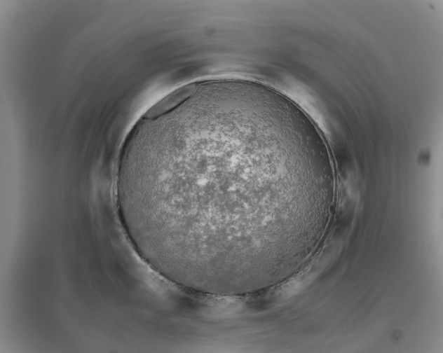 X0000096701101200802261559