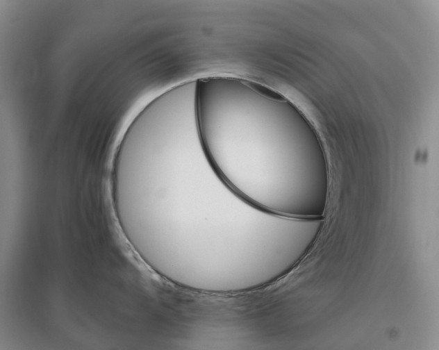 X0000096701104200802261559