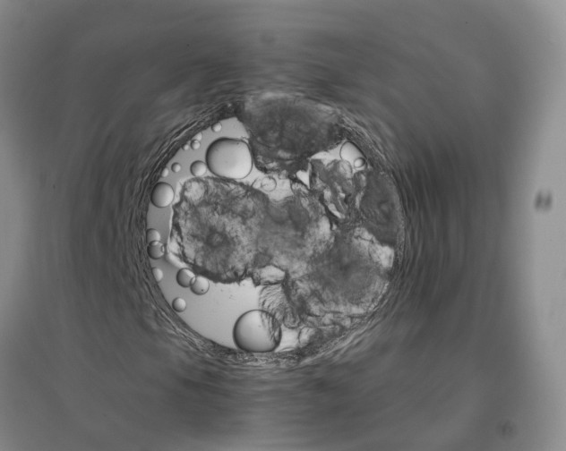 X0000096701105200802261558