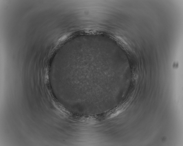 X0000096701106200802261558
