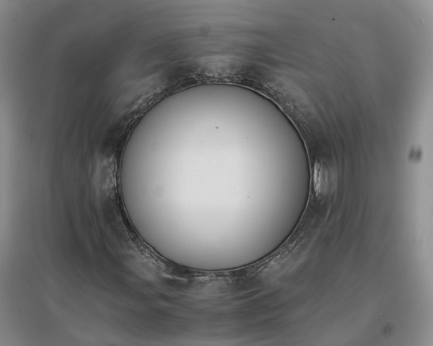 X0000096701107200802261558