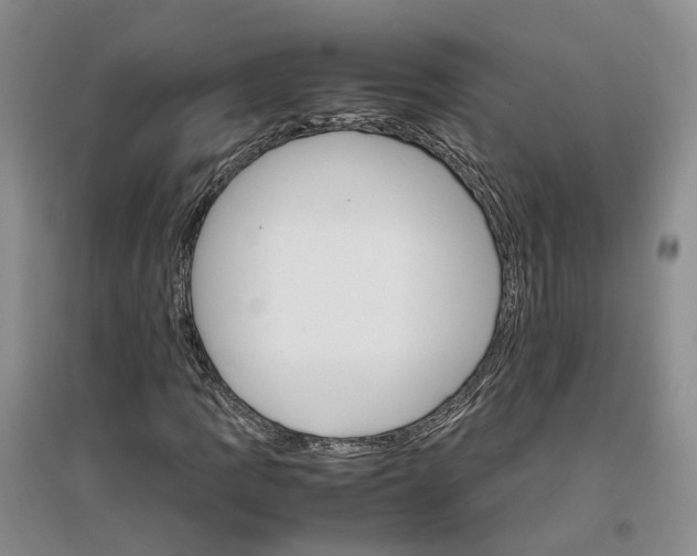 X0000096701109200802261558