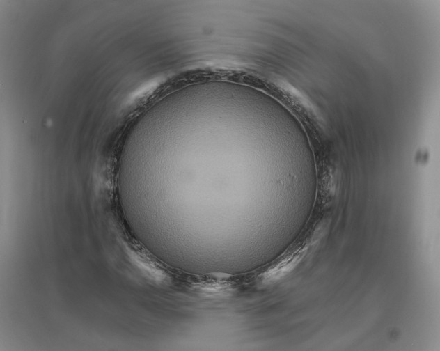 X0000096701110200802261558