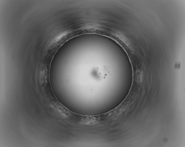 X0000096701111200802261558