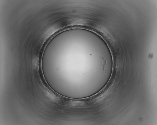 X0000096701113200802261558