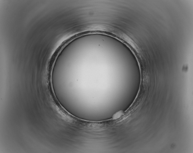 X0000096701116200802261558