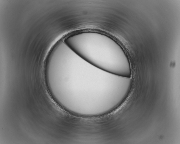 X0000096701118200802261558