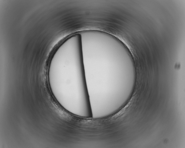 X0000096701119200802261558