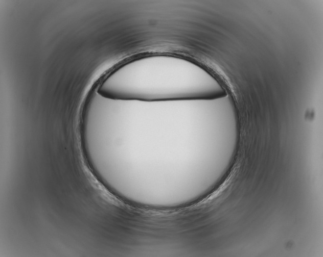 X0000096701122200802261558
